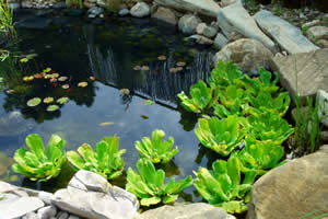 natural-stone