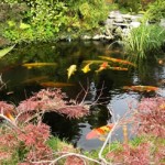 slider_1_image